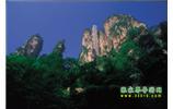 網絡熱門純玩游：張家界、天子山、袁家界、楊家界 自助三日游