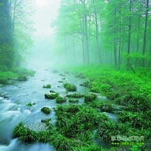 【純玩散拼尊享系列3】張家界、天子山、袁家界、黃龍洞、鳳凰三晚四日游