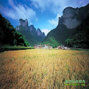 張家界往返純玩散拼：矮寨大橋、德夯苗寨、鳳凰古城、芙蓉鎮(zhèn)二日游